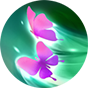 介绍